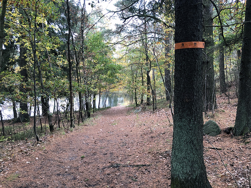 En stig går genom en höstfärgad skog. På en stam till höger sitter ett orange band där det står Bohusleden.
