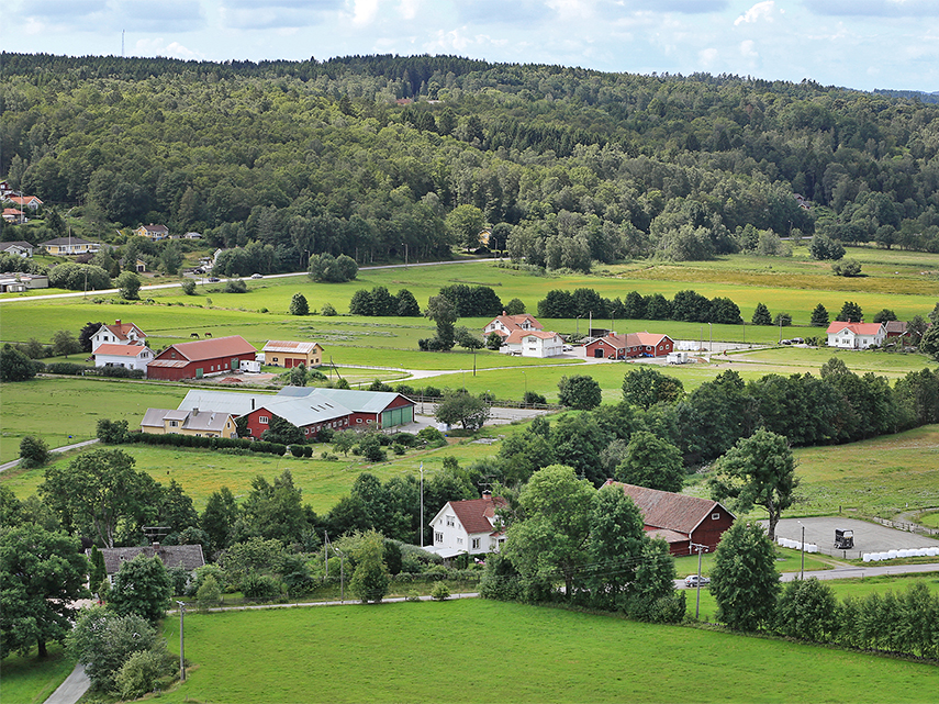 Vy över Hällesåker, ett grönt lantligt landskap med hus och skog.
