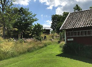 Ett rött hus med vita knutar omges av välklippt gräsmattan som gränsar till en frodig grön äng.